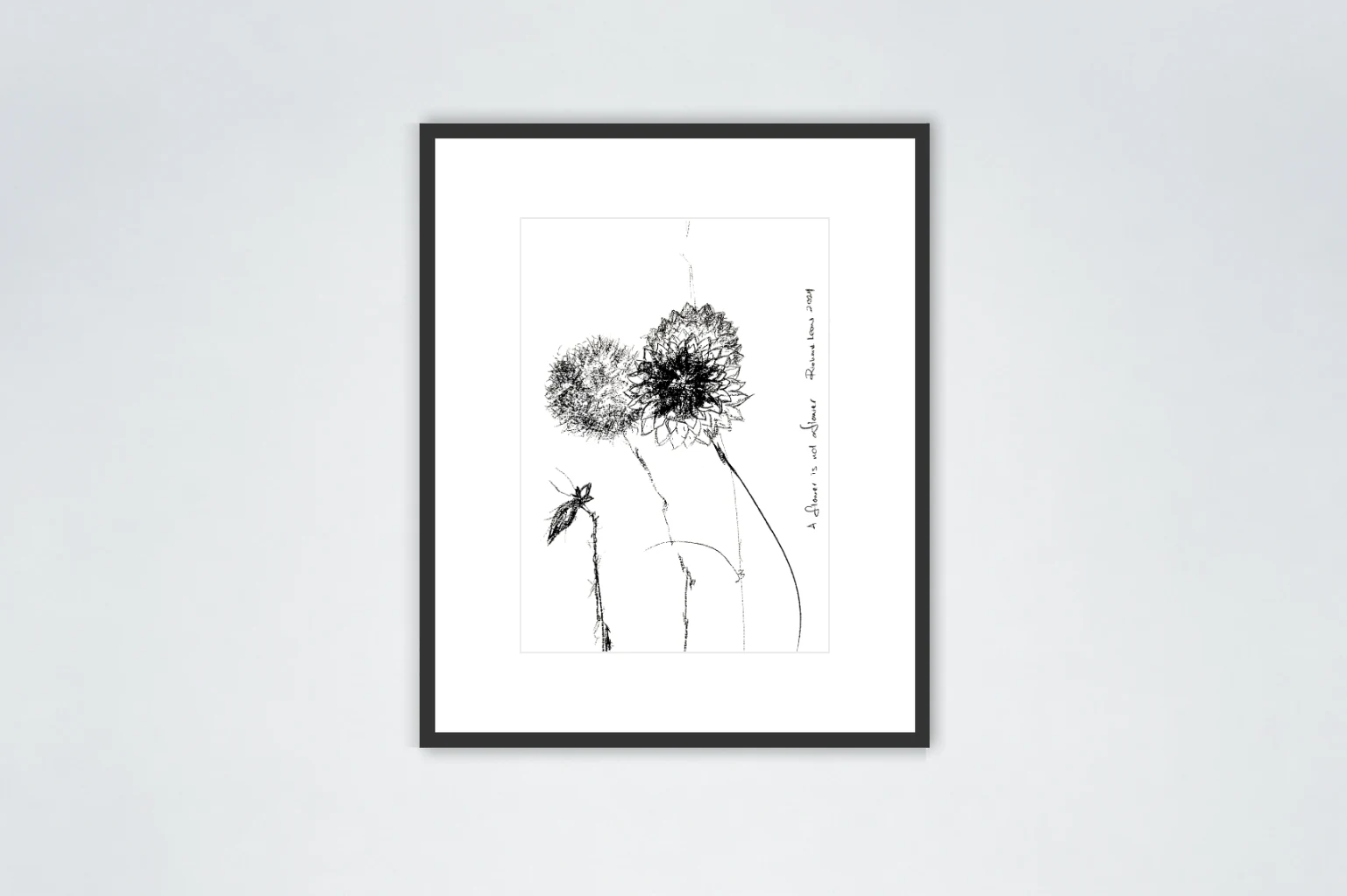 A Flower is Not a Flower, 2024, charcoal on paper
