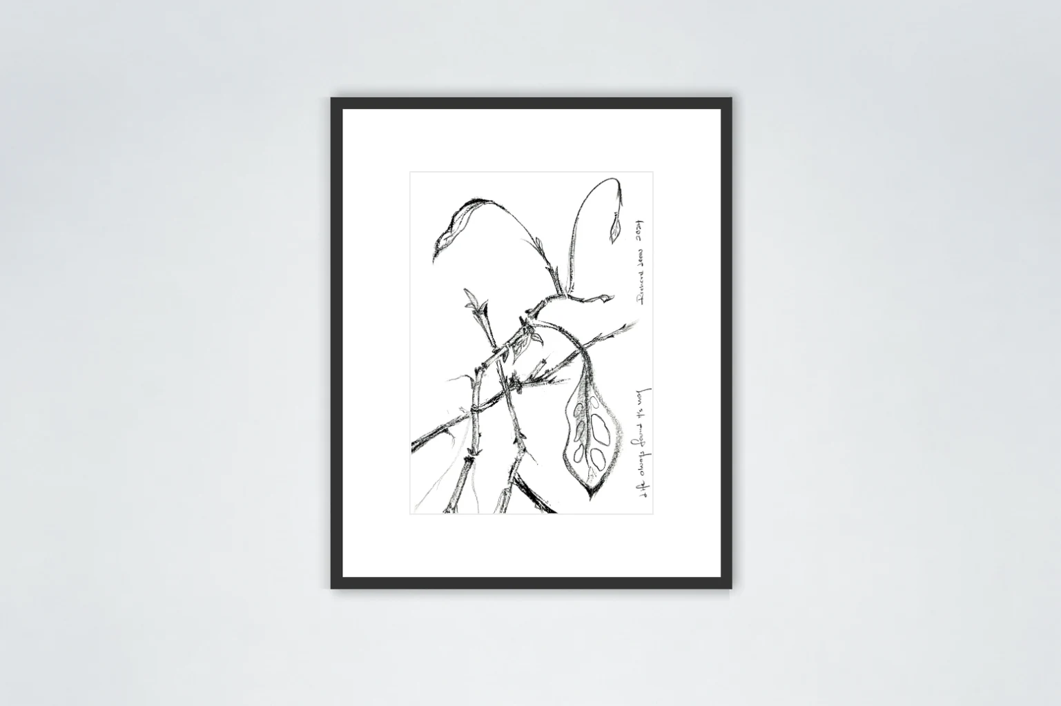 Life Always Finds Its Way, 2024, charcoal on paper